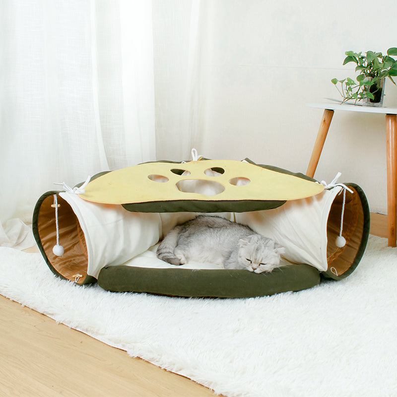 Interactive Cat Tunnel
