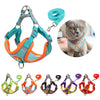 Harness & Leash Set