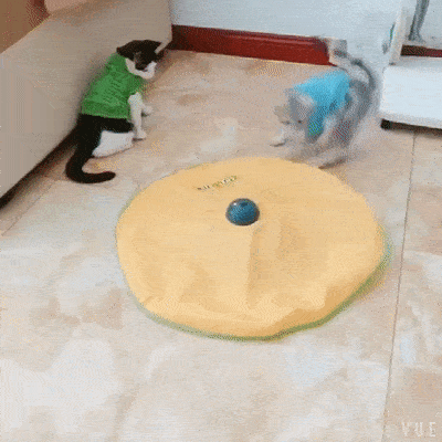 4 Speed Interactive Toy