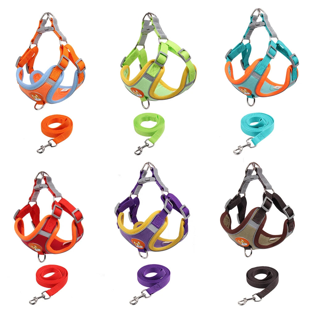 Harness & Leash Set