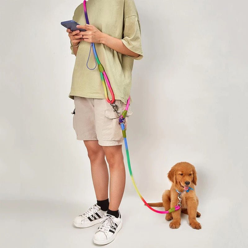 Hands Free Nylon Leash