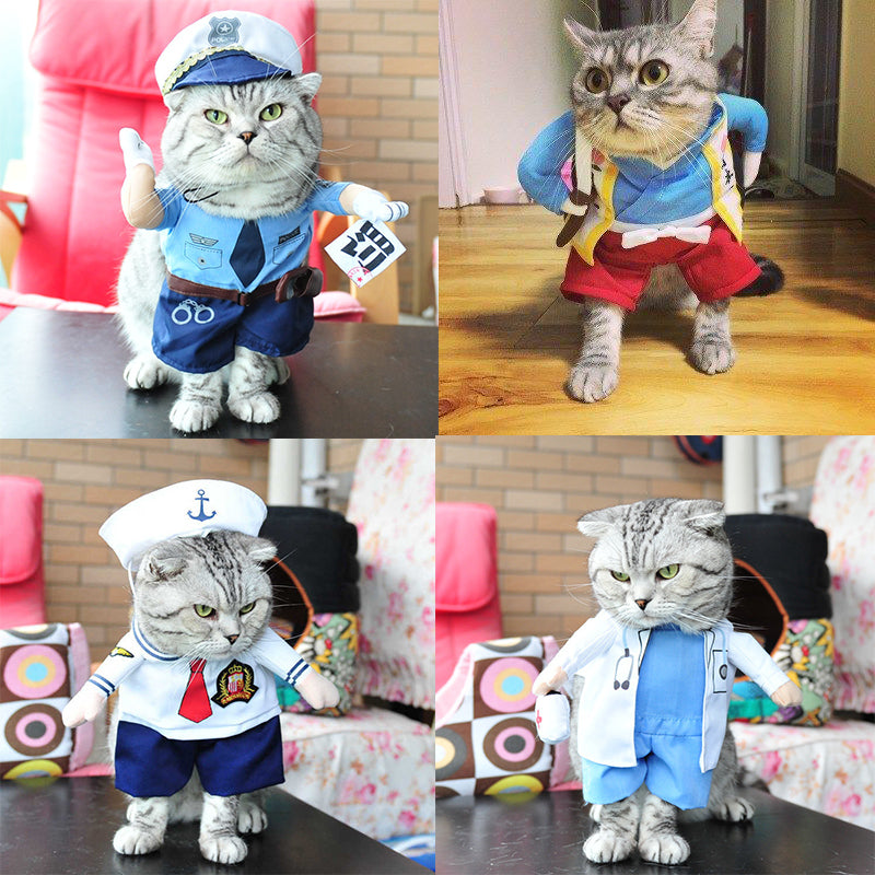 Funny Pet Costume