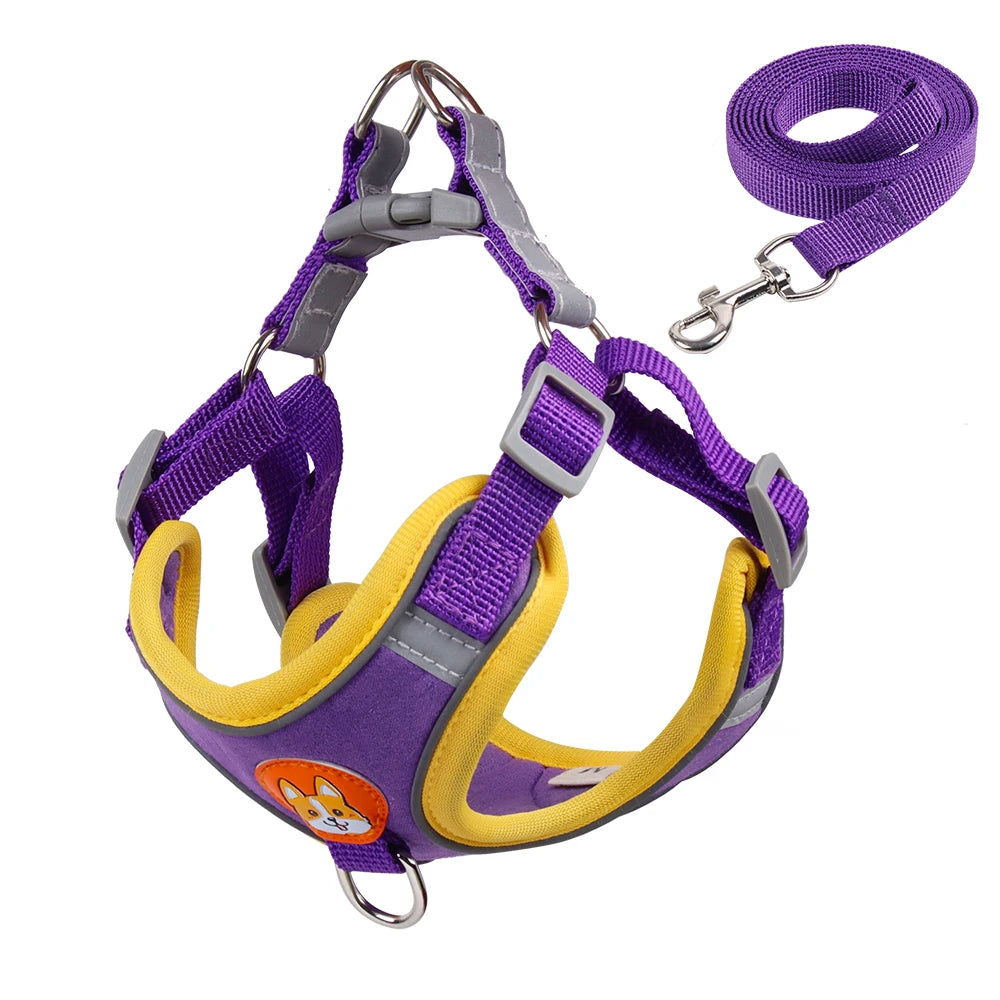 Harness & Leash Set