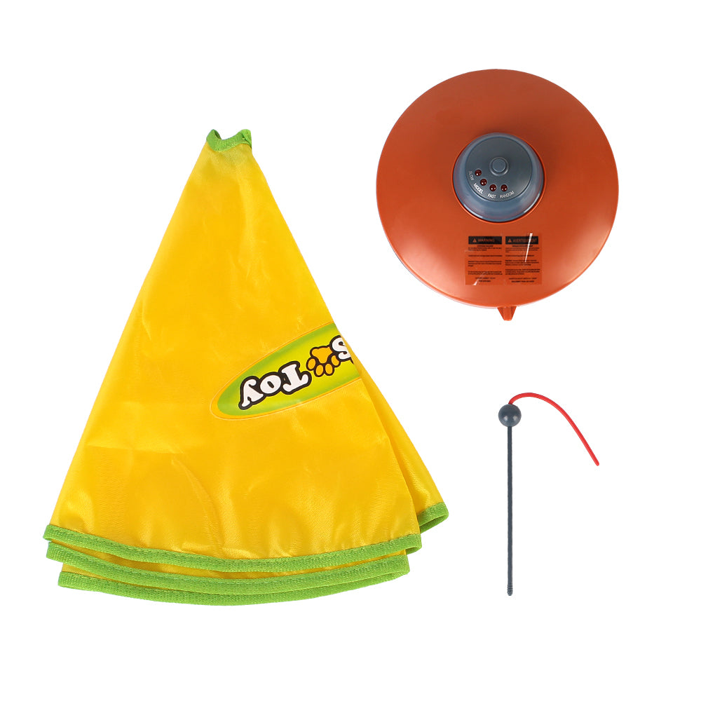 4 Speed Interactive Toy